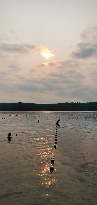“Swimming At Walden Pond in the Summer” Photo Credit: Meg Curry